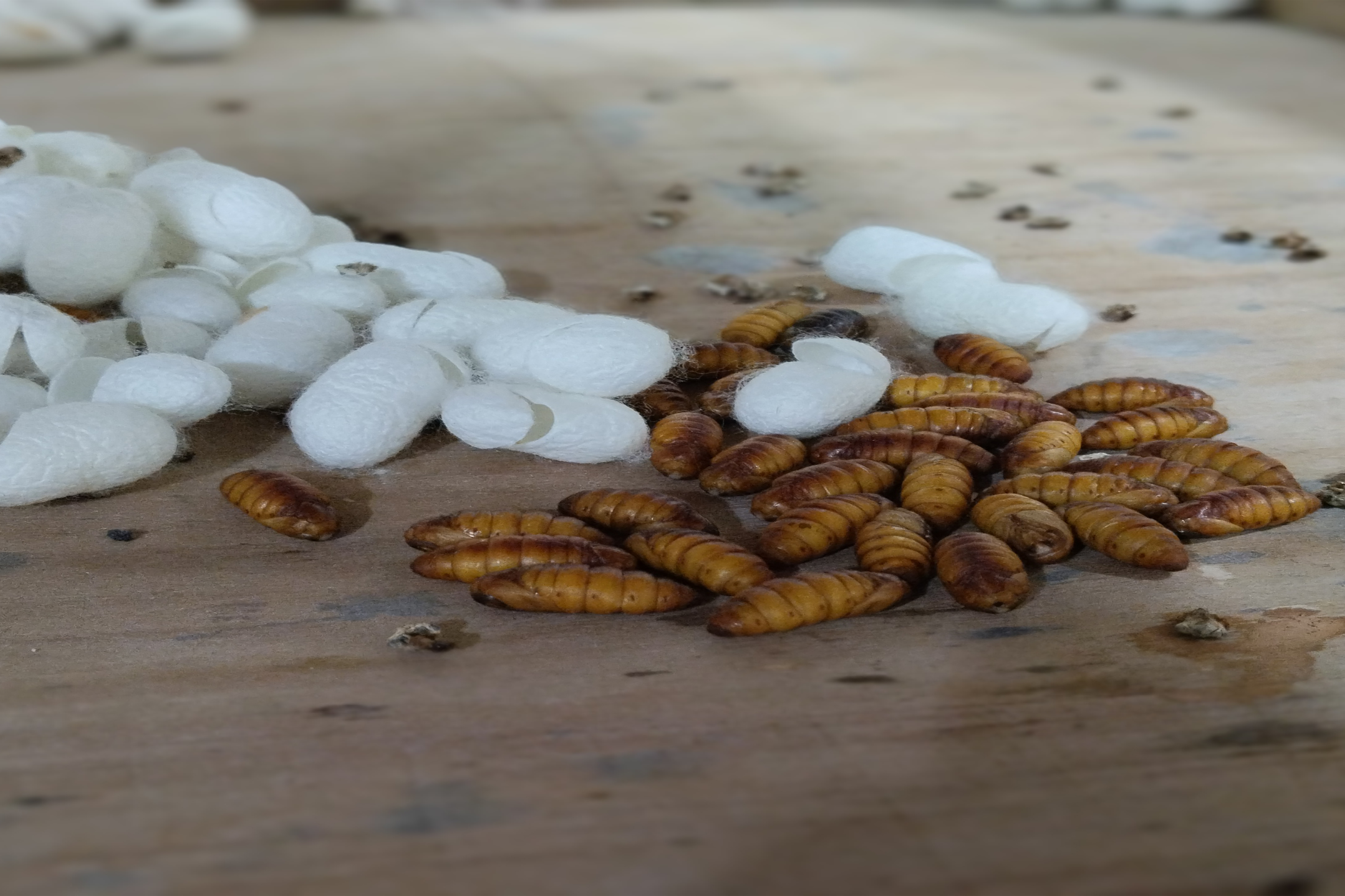 بنر معرفی موسسه