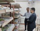 مرحله دوم فعالیت های مرتبط با حفظ و نگهداری ذخایر ژنتیکی کرم ابریشم در مرکز تحقیقات ابریشم کلید خورد.