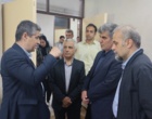 بررسی عملیات تکثیر لاین‌های اجدادی در بانک ژن مرکز تحقیقات ابریشم کشور
