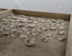 تولید نسل اجداد کرم ابریشم در بانک ژن ملی و آغاز چرخه تأمین تخم نوغان مورد نیاز صنعت نوغانداری ایران