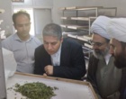 تأکید بر هم‌افزایی مراکز، رفع موانع و تبدیل چالش‌ها به فرصت