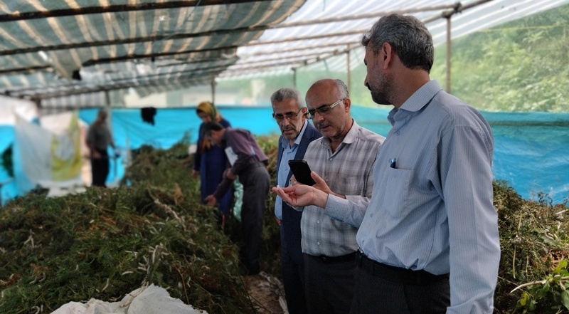 دوره آموزشی