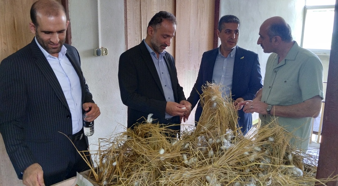بازدید از مرکز