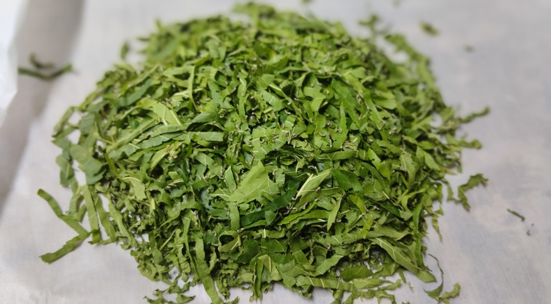پرورش ابریشم