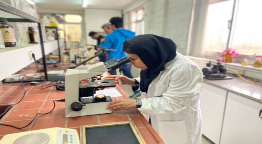 آزمایشگاه