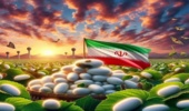 افزایش تولید تخم نوغان‌های پرمحصول و رونق زنجیره ارزش ابریشم