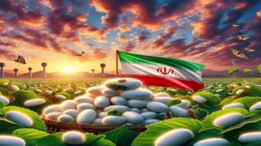 افزایش تولید تخم نوغان‌های پرمحصول و رونق زنجیره ارزش ابریشم