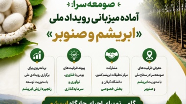 صومعه‌سرا میزبان رویداد ملی ابریشم و صنوبر