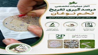 آغاز عملیات تخصصی درصدگیری تفریخ تخم نوغان در بانک ژن مرکز تحقیقات ابریشم کشور