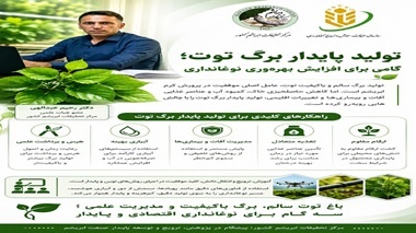 مدیریت علمی باغ‌های توت؛ پیش‌شرط حیاتی برای جهش تولید و پایداری در صنعت نوغانداری کشور