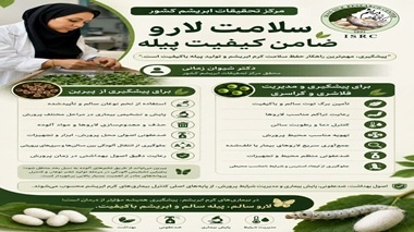 سلامت لارو؛ ضامن کیفیت پیله