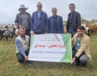 پایش ورم پستان در گله‌های روستایی سرعین؛ گامی مؤثر برای ارتقای سلامت دام و کیفیت شیر