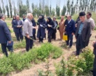 پژوهشگران اردبیلی بر توسعه گیاهان دارویی و زراعت چوب با رویکرد بهره‌برداری پایدار تأکید کردند