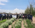 کارگاه عملی گلاب‌گیری در پایگاه تحقیقاتی سامیان اردبیل برگزار شد