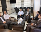 استان اردبیل در مسیر تبدیل‌شدن به قطب تولید بذر کشور/ نقش راهبردی در تقویت امنیت غذایی