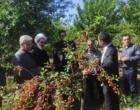 تأکید امام‌جمعه مشگین‌شهر بر ضرورت “کاربردی‌سازی” پژوهش‌های کشاورزی
