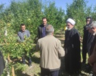 تأکید امام‌جمعه مشگین‌شهر بر ضرورت “کاربردی‌سازی” پژوهش‌های کشاورزی