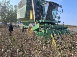 پهپادها و هورمونهای برگریز، کلید توسعه کشت پنبه در مغان