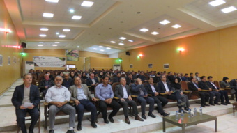 تهدیدهای نامرئی؛ بیماریهای خاکزاد مزارع گندم و جو