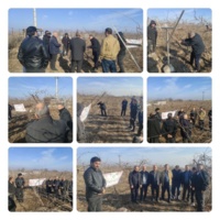 دوره آموزشی سیستم داربستی باغ انگور در اصلاندوز برگزار شد