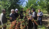 تأکید امام‌جمعه مشگین‌شهر بر ضرورت “کاربردی‌سازی” پژوهش‌های کشاورزی