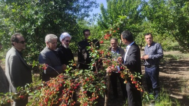 تأکید امام‌جمعه مشگین‌شهر بر ضرورت “کاربردی‌سازی” پژوهش‌های کشاورزی