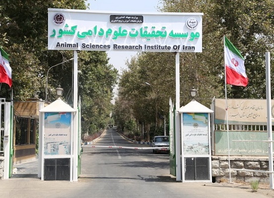 اسلایدر جدید