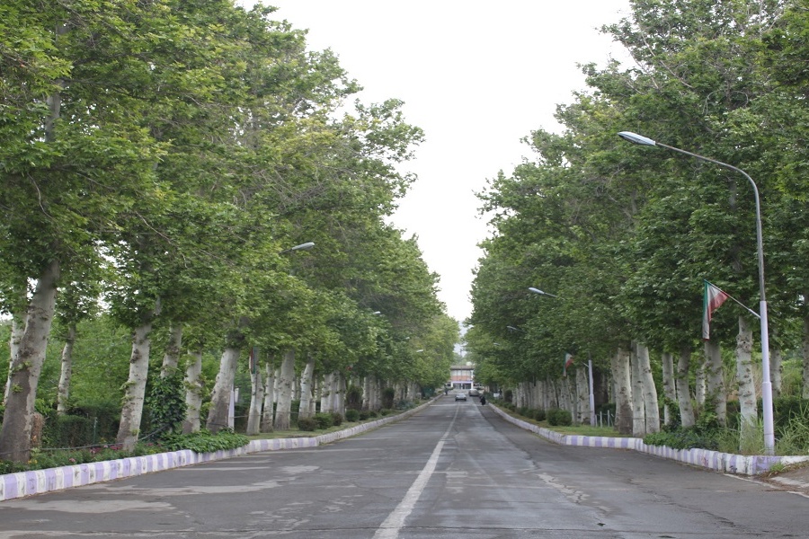 اسلایدر