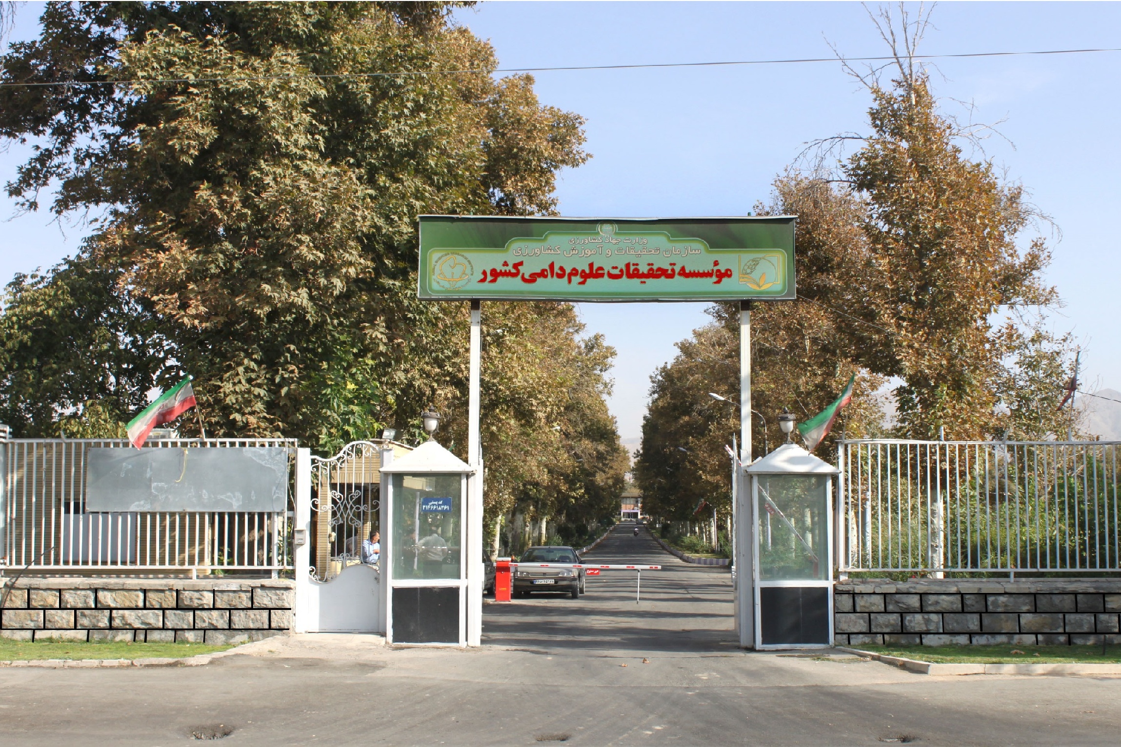 اسلایدر