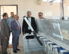 بازدید رئیس موسسه از ایستگاه تحقیقات کشاورزی و دامپروری اسماعیل‌آباد مرکز تحقیقات قزوین
