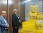 رئیس موسسه از مراکز تولید خوراک دام و پرورش نژاد سگ در قزوین بازدید کرد