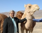 بازدید مسئولین موسسه از سایت ملی توسعه اکولوژیک شتر در منطقه ساغند