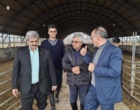 بازدید مسولین موسسه به همراه نماینده دیوان محاسبات استان البرز از ایستگاه گاودشت