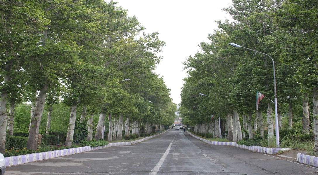 اسلایدر