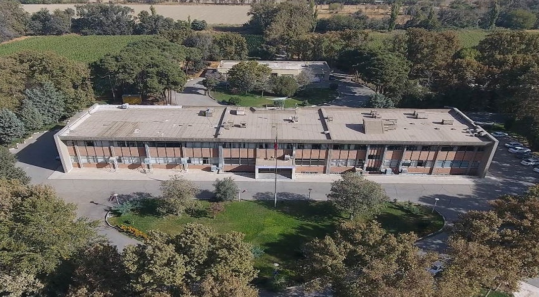 اسلایدر
