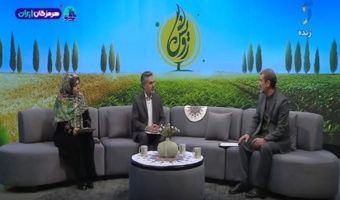 مدیریت پرورش و نگهداری گله های گوسفند و بز در زمان آبستنی و زایش