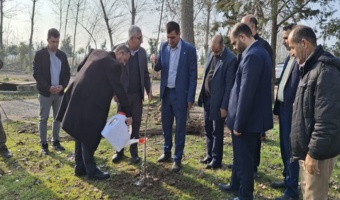 آیین کشت ۱۷۶۵ اصله نهال صنوبر در نکوداشت و یاد شهدای شهرستان بابل در ایستگاه ملی گاودشت برگزار گردید