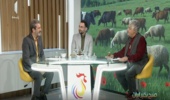 دامپروری خرده‌پا؛ ستون پنهان معیشت روستایی و امنیت غذایی کشور