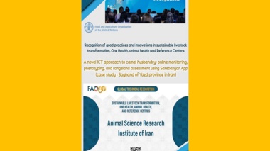 انتخاب «ساربانیار» در میان ۵۰ طرح نوآوری برتر جهانی FAO در حوزه دامپروری