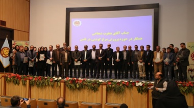 در مراسم هفته پژوهش صورت گرفت: تقدیر از تلاشگران عرصه دامپروری و پژوهش