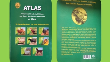 انتشار نسخه انگلیسی کتاب «اطلس منابع ژنتیکی دام، طیور و زنبور عسل بومی ایران»