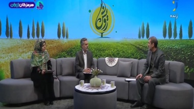 مدیریت پرورش و نگهداری گله های گوسفند و بز در زمان آبستنی و زایش
