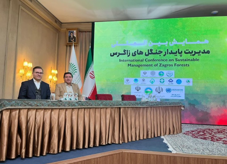 گالری تصاویر