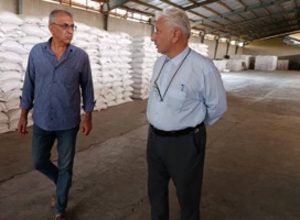 بازدید و نظارت بر تولید بذور استان