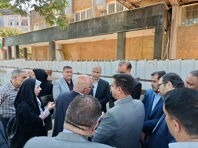 افزایش دمای سطح آسفالت خیابان یکی از دلایل خشکیدگی چنارهای شهری