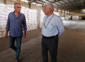 بازدید و نظارت بر تولید بذور استان