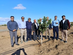 معاونت موسسه ثبت و گواهی بذر و نهال  از باغات و نهالستان‌های آذربایجان غربی بازدید کرد