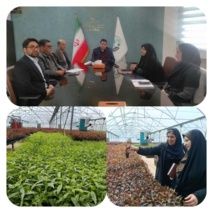 جلسه برنامه‌ریزی فعالیت های بخش ثبت و گواهی بذر و نهال
