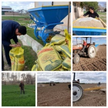 آغاز عملیات آماده‌سازی زمین برای کشت آزمایشات چغندرقند در ایستگاه میاندوآب