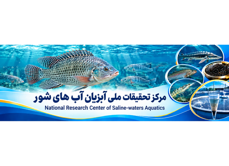 اسلایدر صفحه اصلی